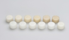 IPS Empress Esthetic