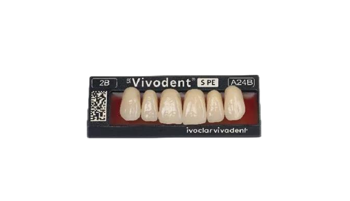 SR Vivodent S PE